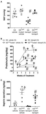 Treatment With Lisinopril Prevents the Early Progression of Glomerular Injury in Obese Dahl Salt-Sensitive Rats Independent of Lowering Arterial Pressure